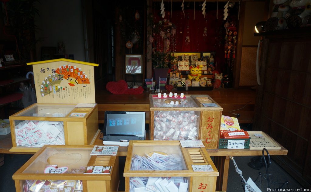 DSC08799.jpg
