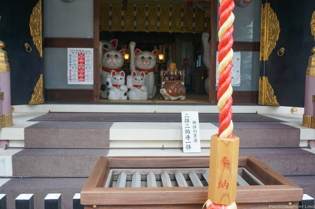 DSC08788.jpg