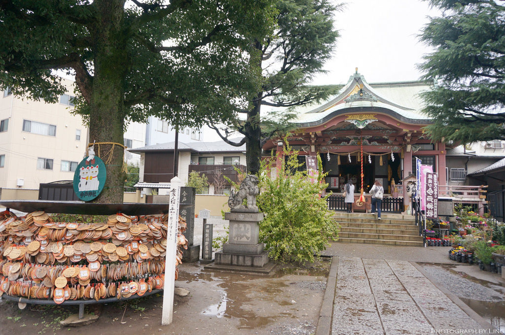 DSC08783.jpg