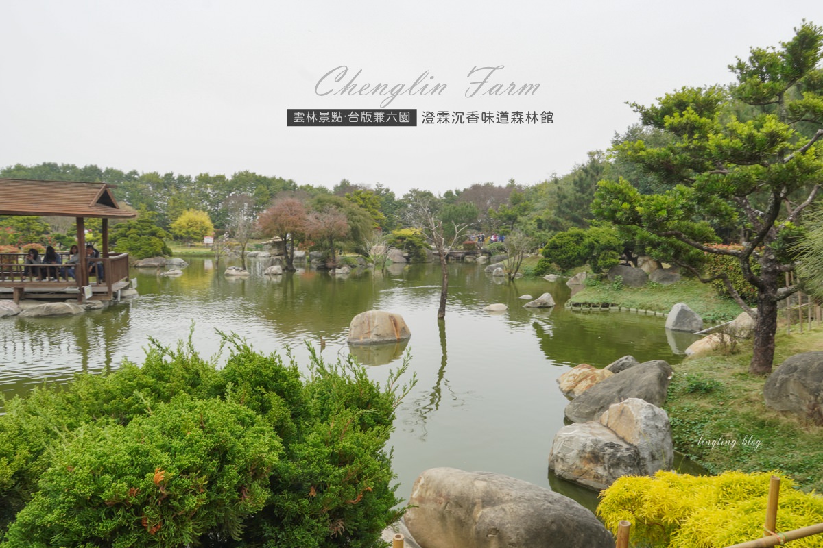 雲林網美景點｜澄霖沉香味道森林館-六公頃日式造景庭園，愛心落羽松絕美拍照打卡景點