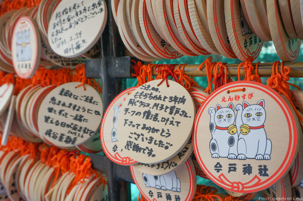 DSC08785.jpg