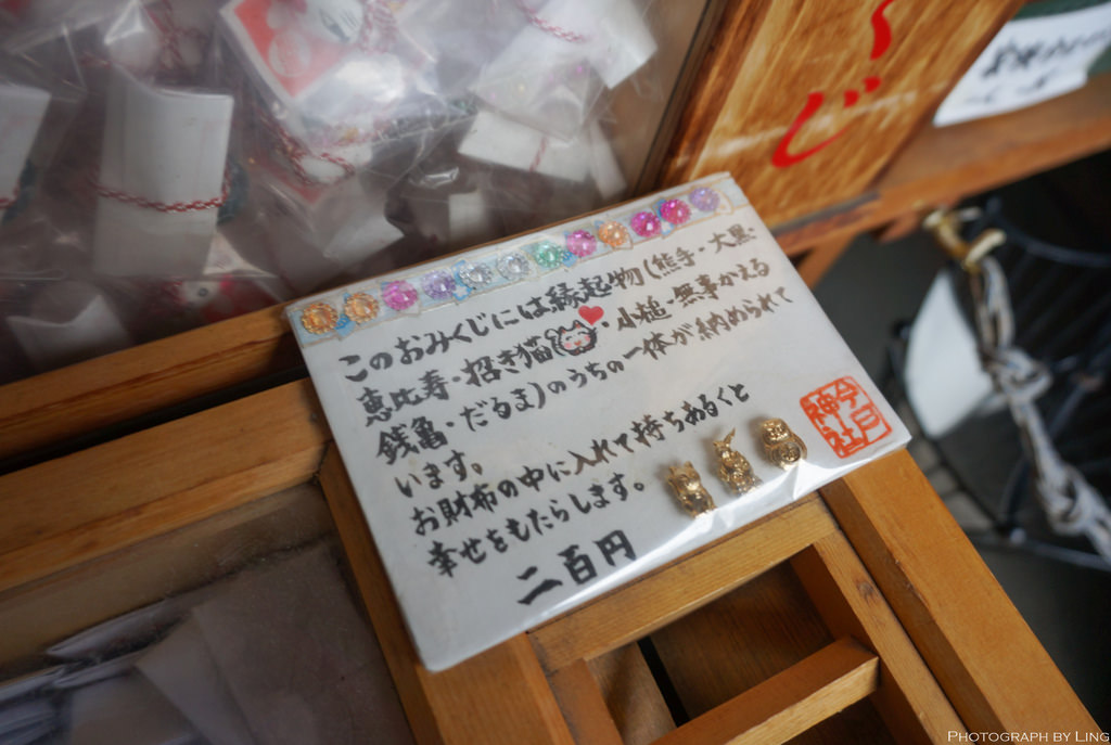 DSC08800.jpg