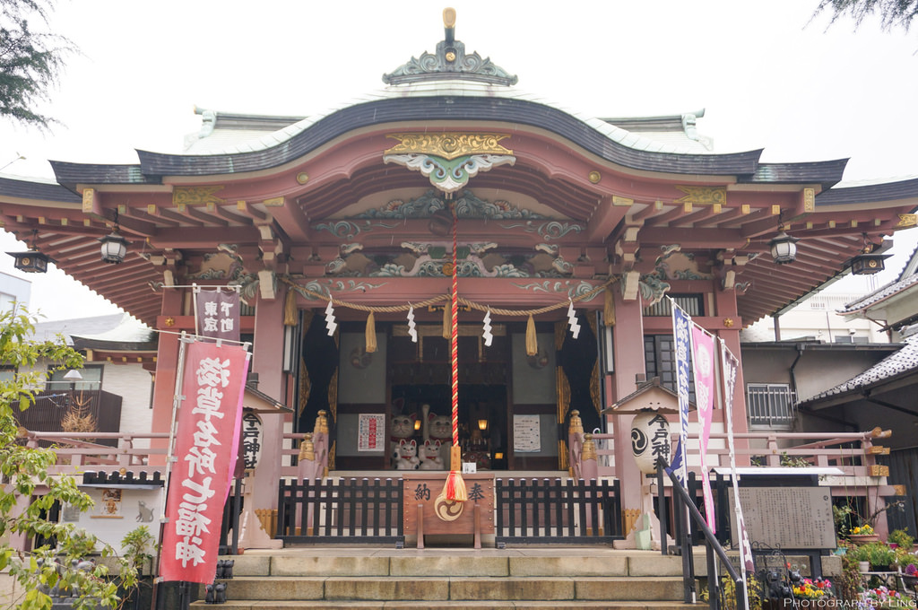 DSC08787.jpg