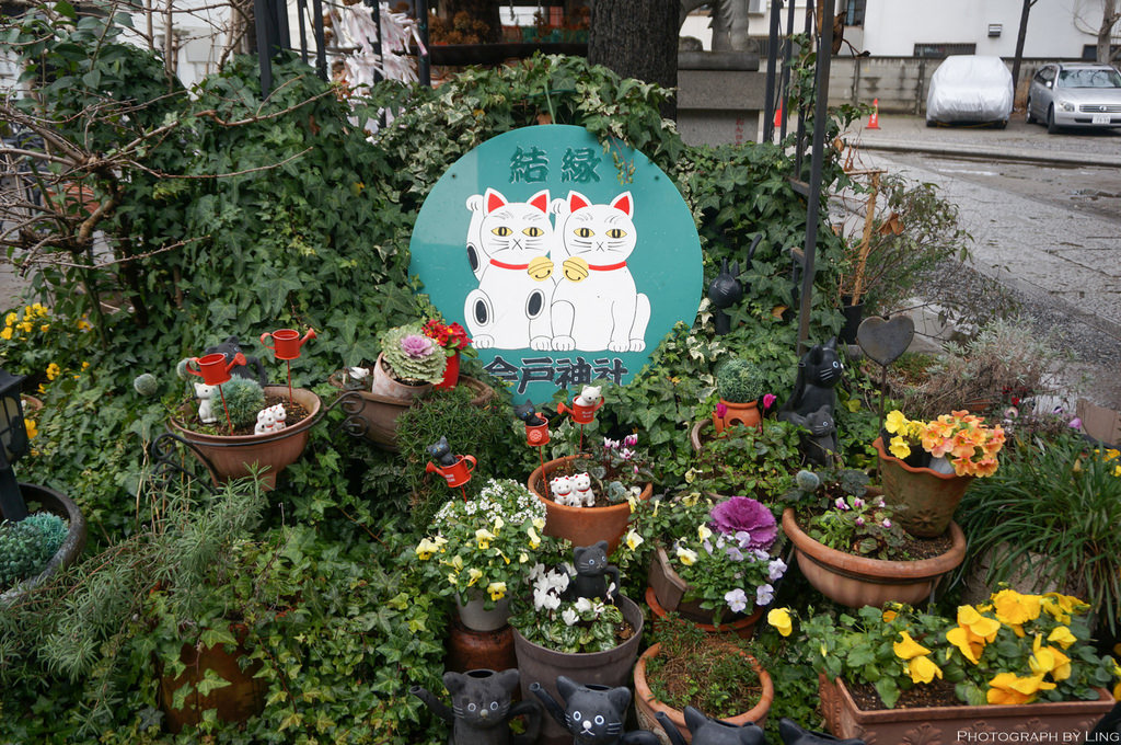 DSC08796.jpg